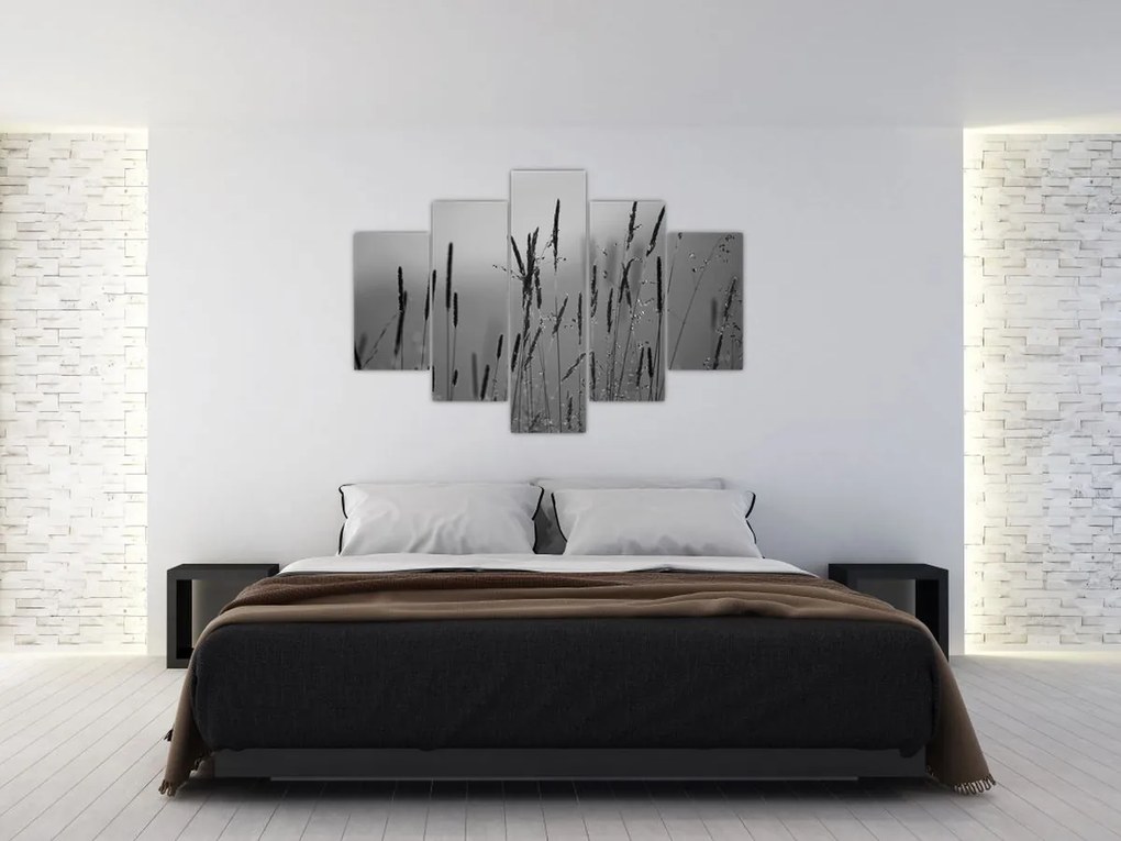 Obraz - Steblá trávy (150x105 cm)