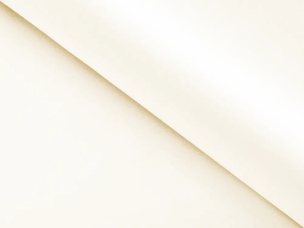 Biante Veľký teflónový štvorcový obrus TF-037 Smotanový bez vzoru 250x250 cm
