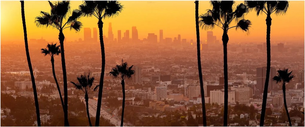 Obraz - Panorama Los Angeles (120x50 cm)