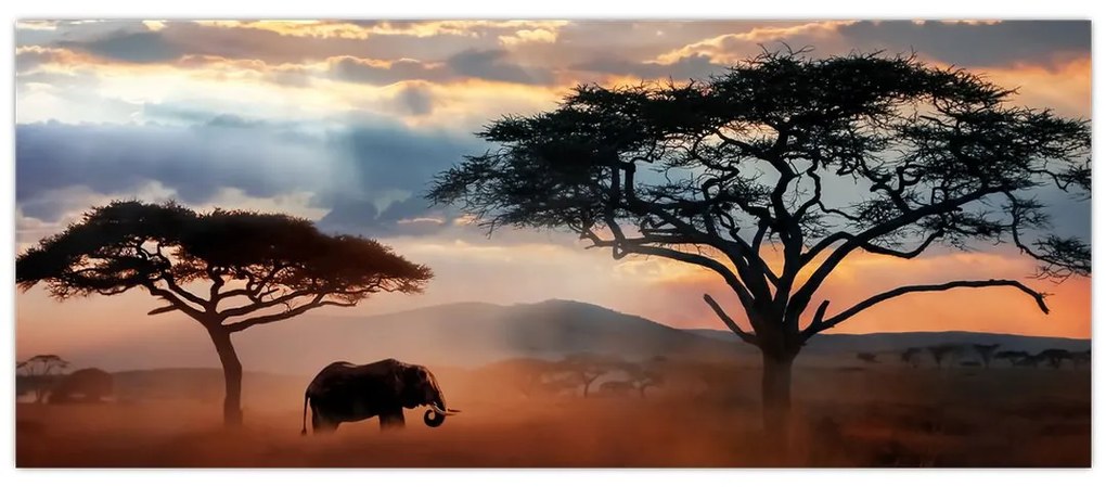 Obraz - Národný park Serengeti, Tanzánia, Afrika (120x50 cm)