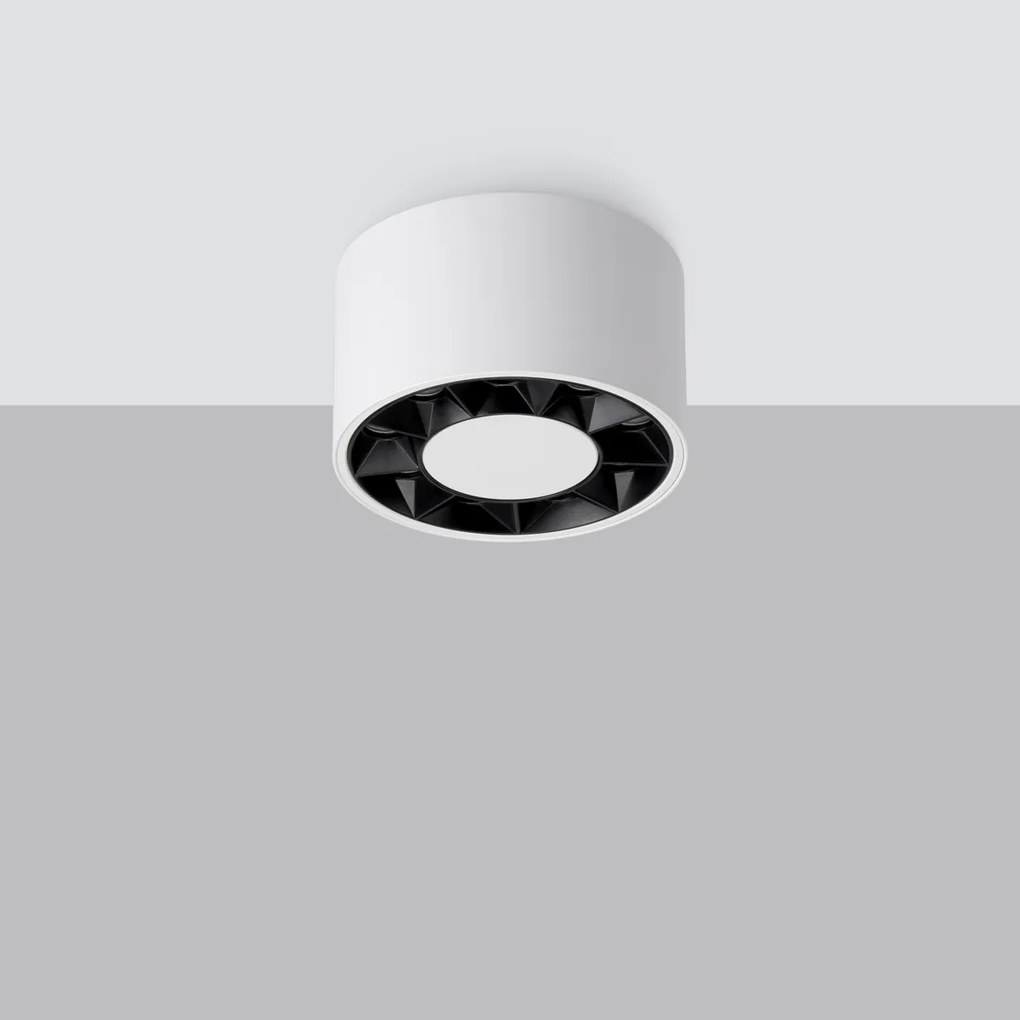 Stropné LED svietidlo Dio, 1x LED 10w, 4000k, w