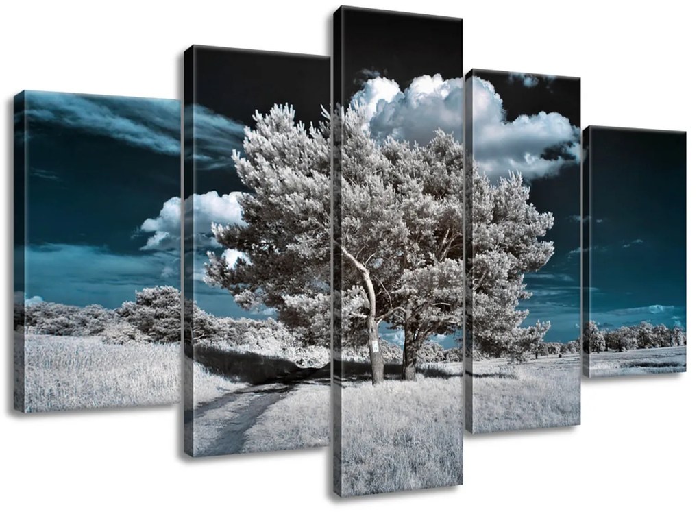 Gario Obraz na plátne Záhadné silné stromy Veľkosť: 125 x 70 cm
