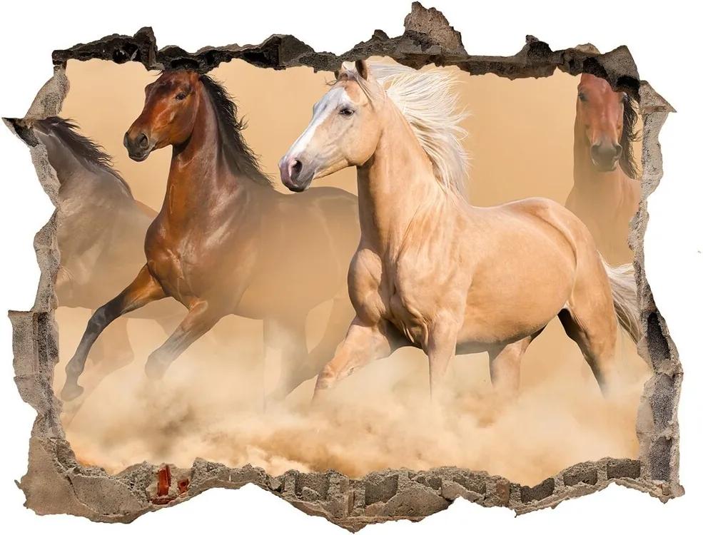 Díra 3D foto tapeta nálepka Koně poušť WallHole-95x64-kamien-90840320