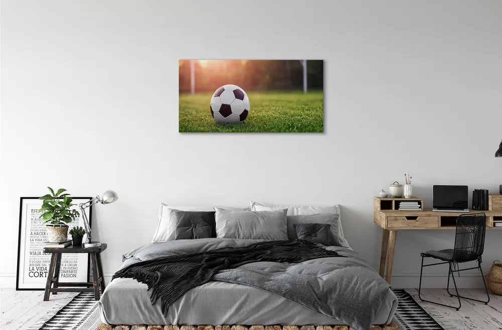 Obraz canvas Futbal tráva gateway 125x50 cm