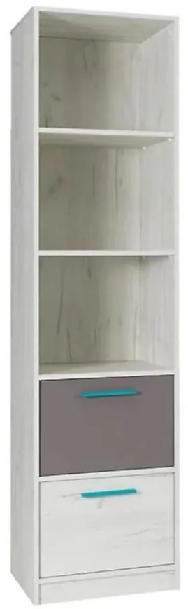 Regál Rest R08 popiel/dub biely 50/195