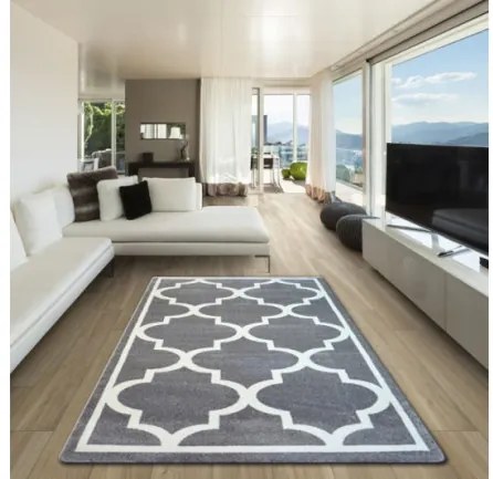 Koberec SKETCH - F730 sivo / biely trellis