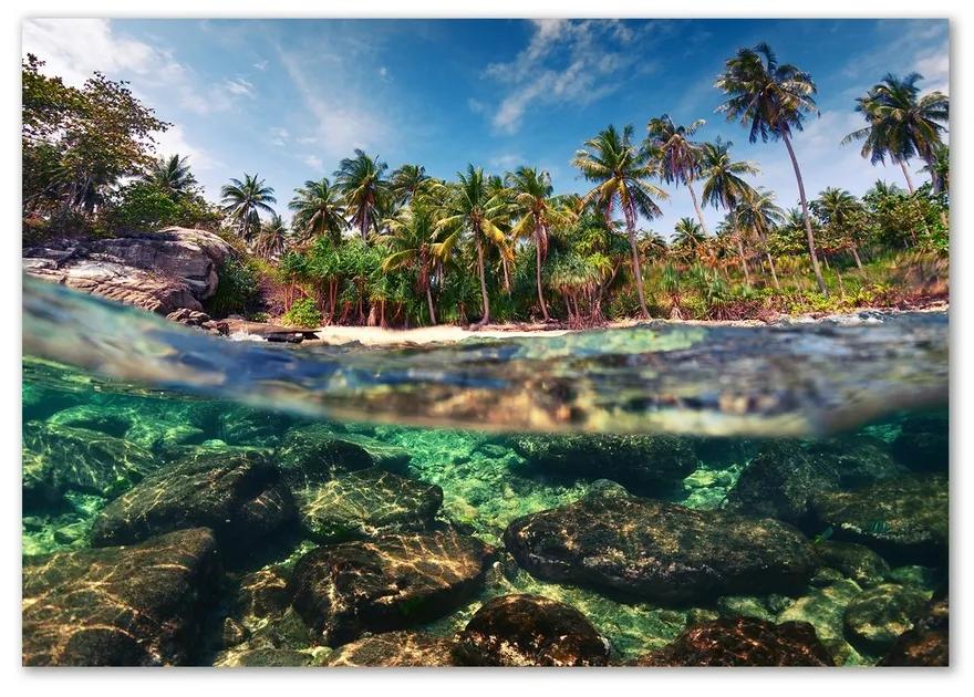 Foto obraz z akrylového skla Tropická pláž pl-oa-100x70-f-90407162