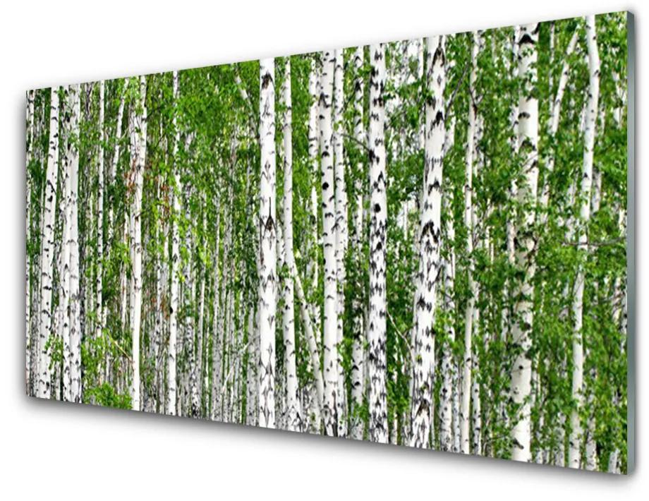 Obraz na akrylátovom skle Breza les stromy príroda 120x60cm
