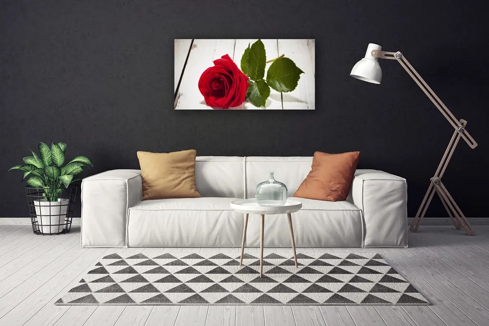 Obraz Canvas Ruže kvet rastlina 120x60 cm