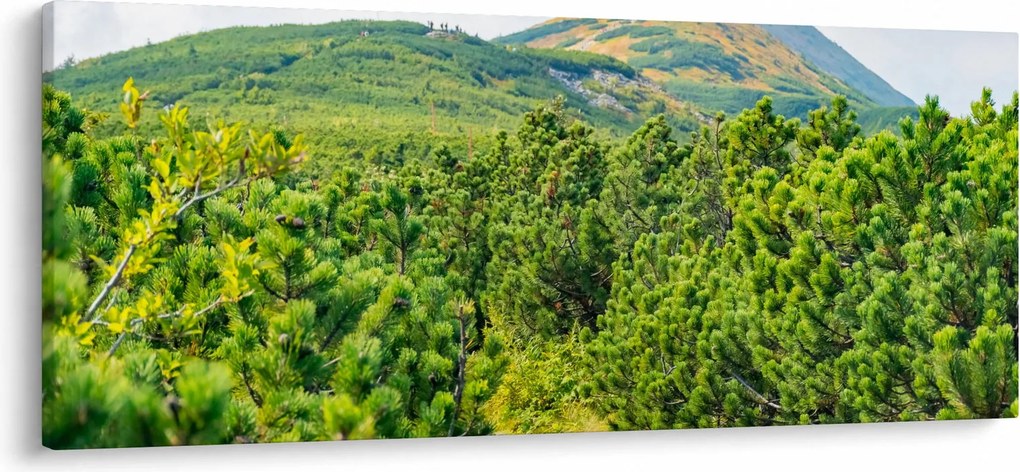 Obraz - Babi Hora, Poľsko (120x50 cm)