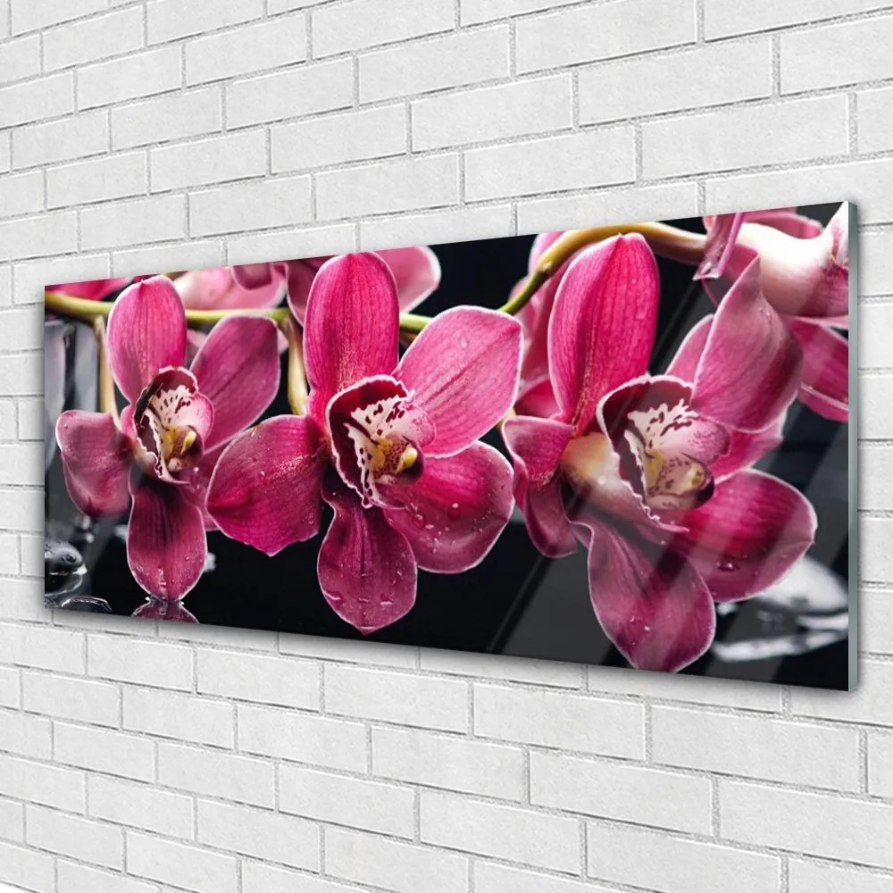 Obraz plexi Kvety orchidey výhonky príroda 125x50 cm