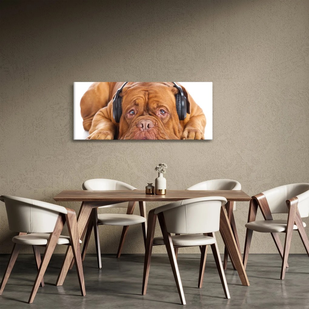 Obraz psa so slúchadlami (120x50 cm)