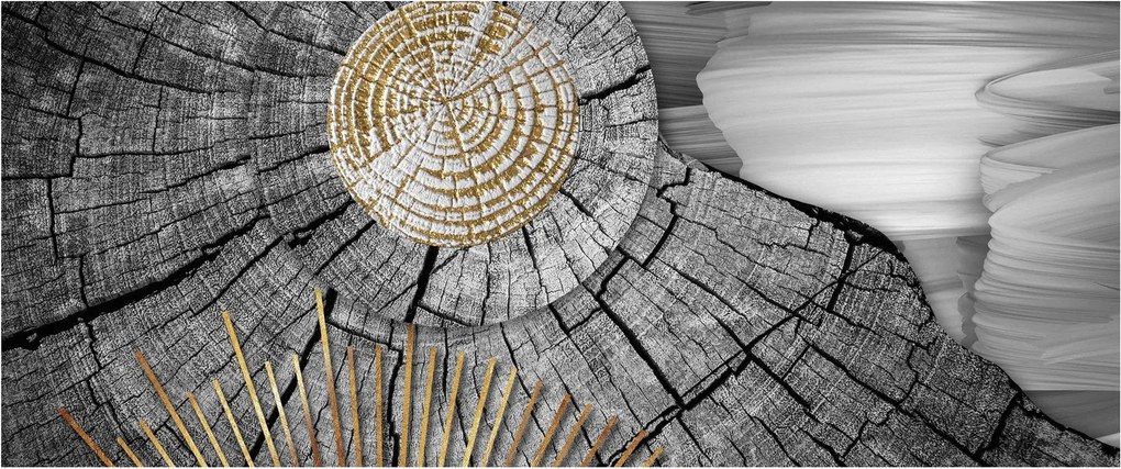 Obraz - Kmeň stromu v koláži (120x50 cm)