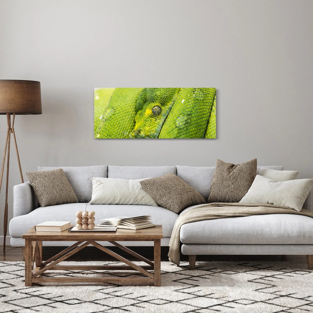 Obraz hada (120x50 cm)