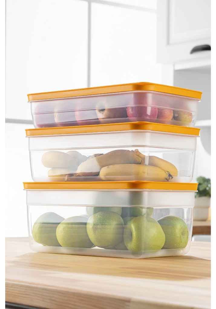 Súprava 3 ks dóz na potraviny HULU oranžová