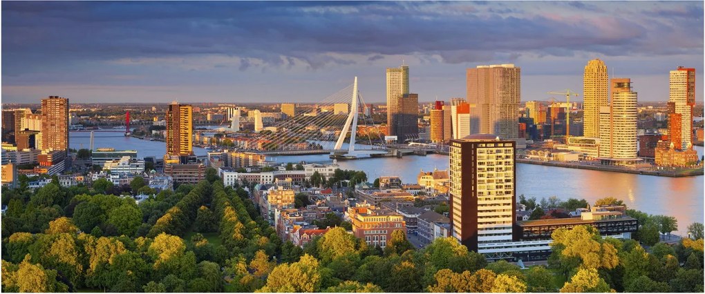 Obraz - Panorama Rotterdamu, Holandsko (120x50 cm)