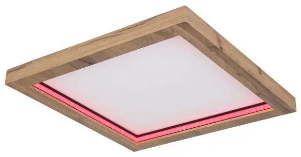 Globo 41374-24 - LED RGBW Stmievateľné stropné svietidlo BRANZA LED/24W/230V + DO