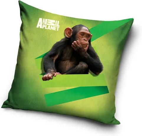 CARBOTEX Obliečka na Vankúšik Animal Planet Šimpanz micro Polyester 40/40 cm