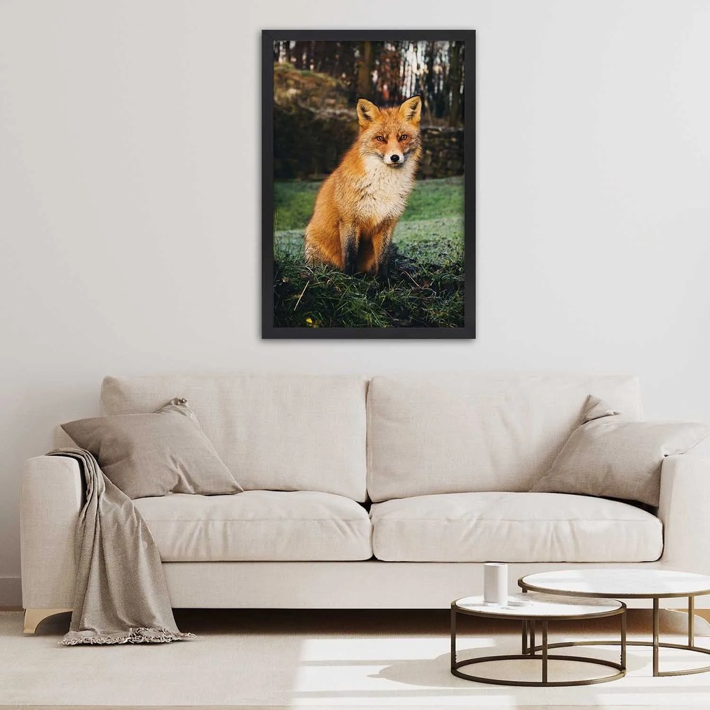 Gario Plagát Líška v lese Farba rámu: Bez rámu, Rozmery: 40 x 60 cm