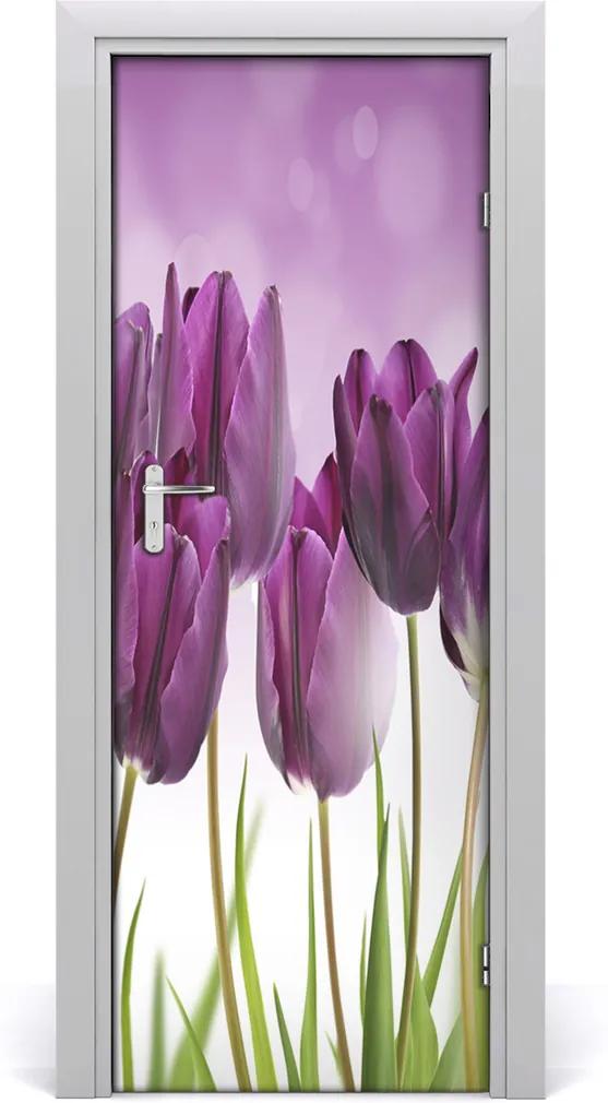 Fototapeta samolepící Fialové tulipány