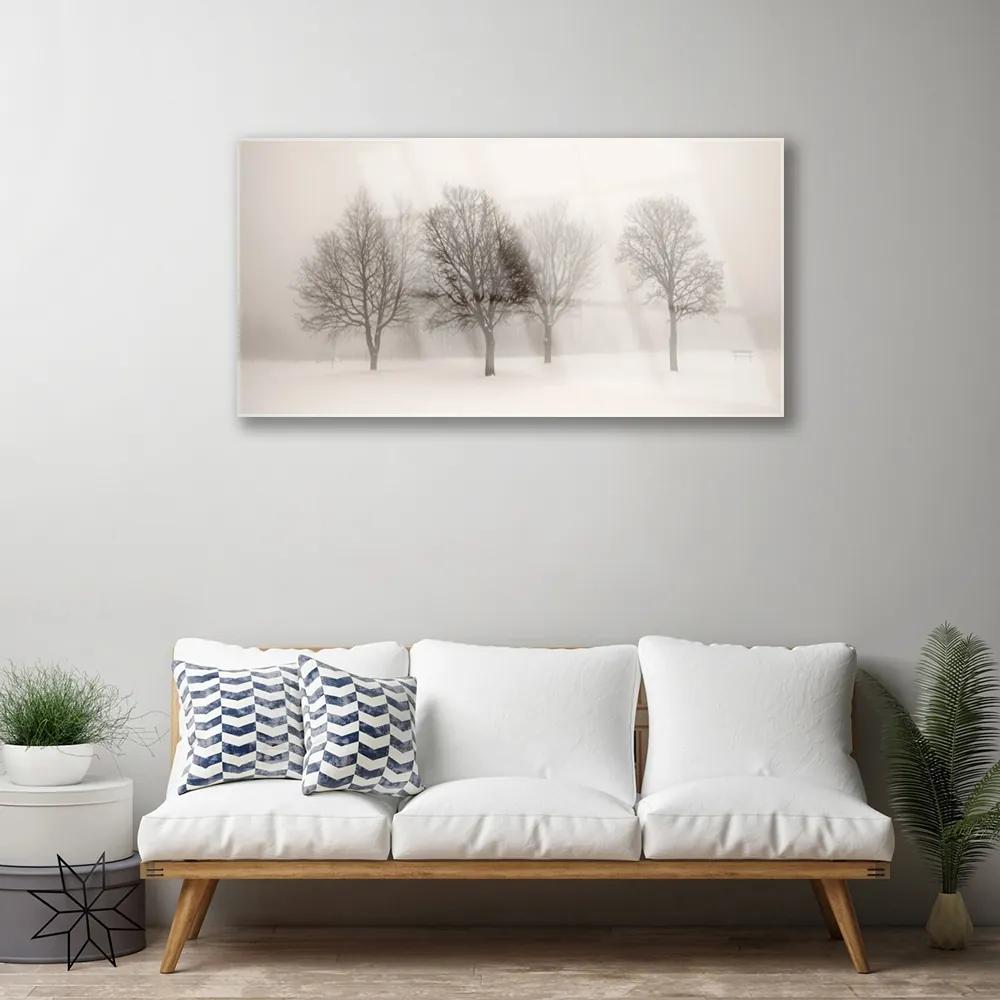 Skleneny obraz Sneh stromy príroda 100x50 cm