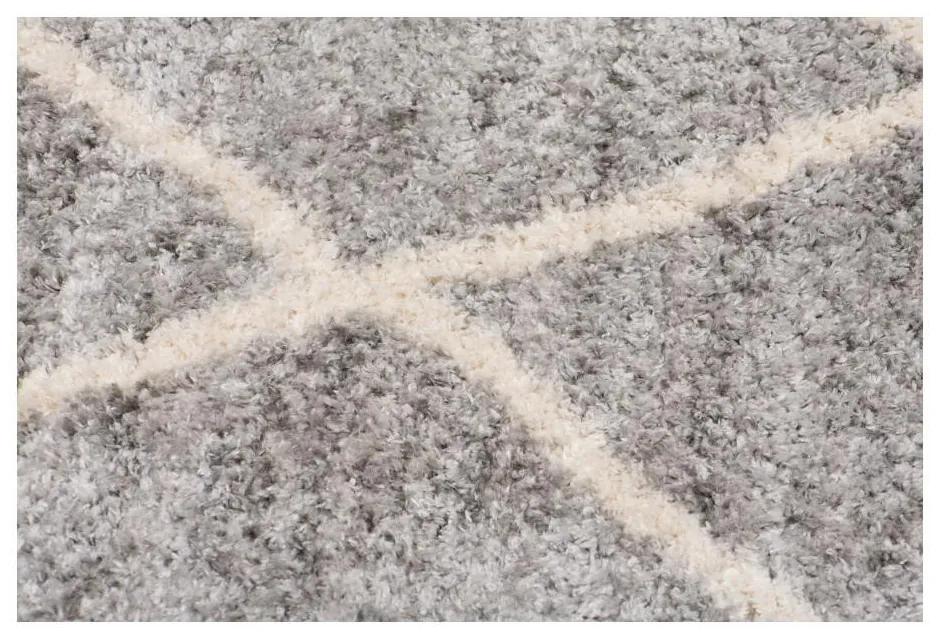 Kusový koberec shaggy Mirza sivý 120x170cm