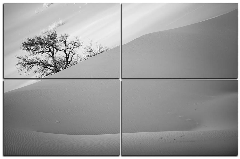 Obraz na plátne - Červené piesočné duny 1133QE (90x60 cm)