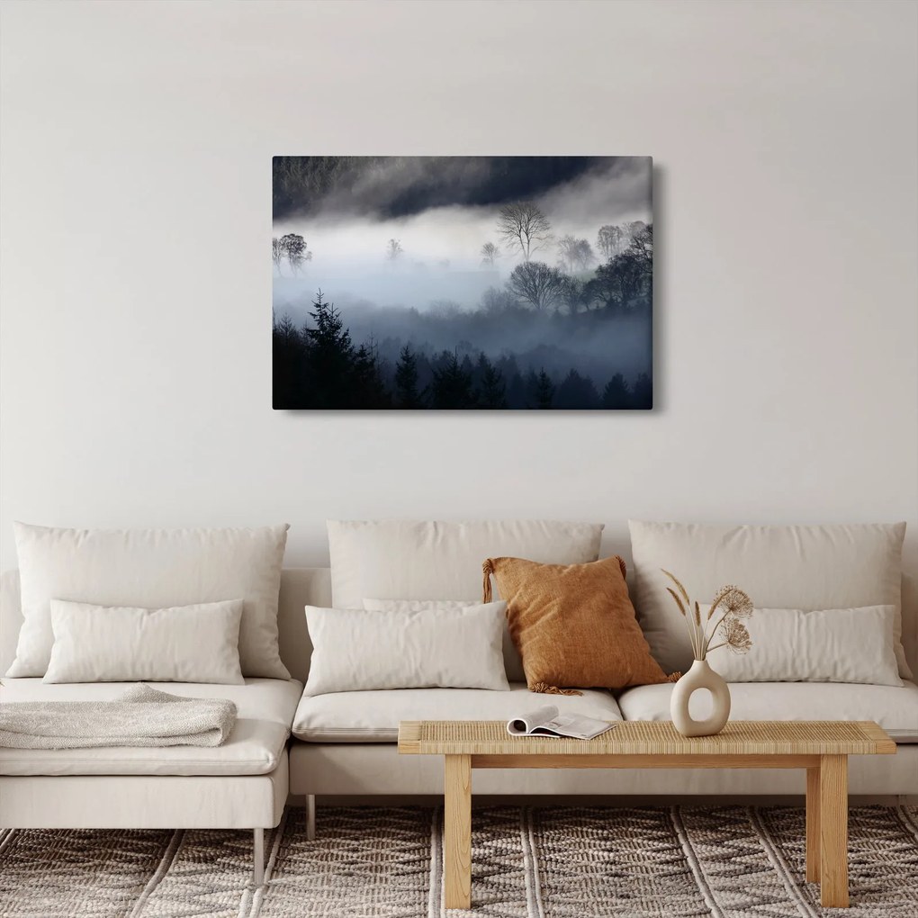 Obraz hmly nad lesom (90x60 cm)