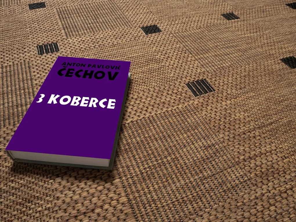 Devos koberce Kusový koberec FLOORLUX Coffee / Black 20079 Spoltex – na von aj na doma - 80x150 cm