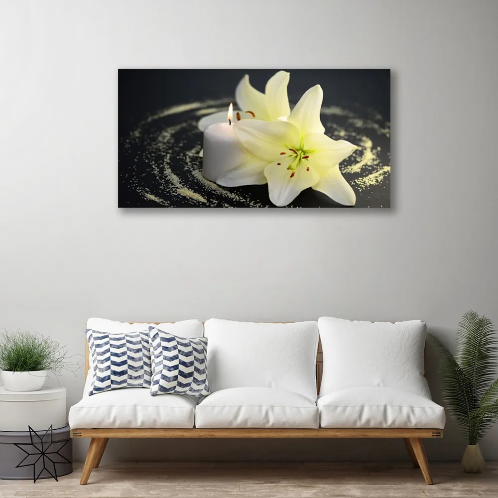 Obraz Canvas Kvet rastlina príroda 140x70 cm