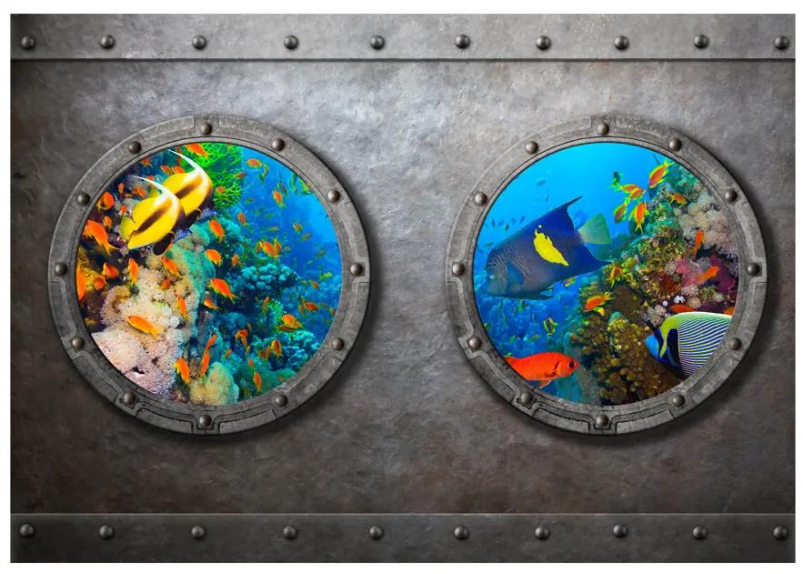 Artgeist Fototapeta - Window to the underwater world Veľkosť: 200x140, Verzia: Standard
