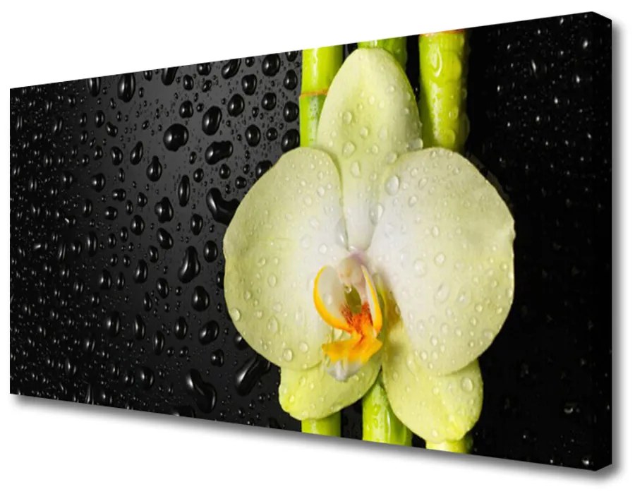 Obraz Canvas Bambus kvet orchidea 100x50 cm