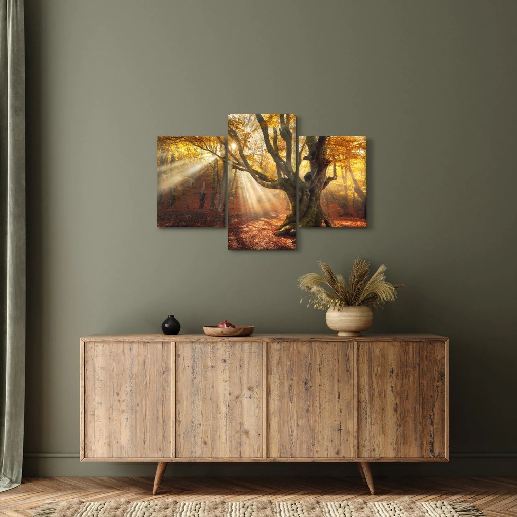 Obraz - Jesenný svit (90x60 cm)