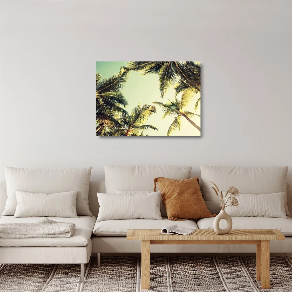 Sklenený obraz s kokosovými palmami (70x50 cm)