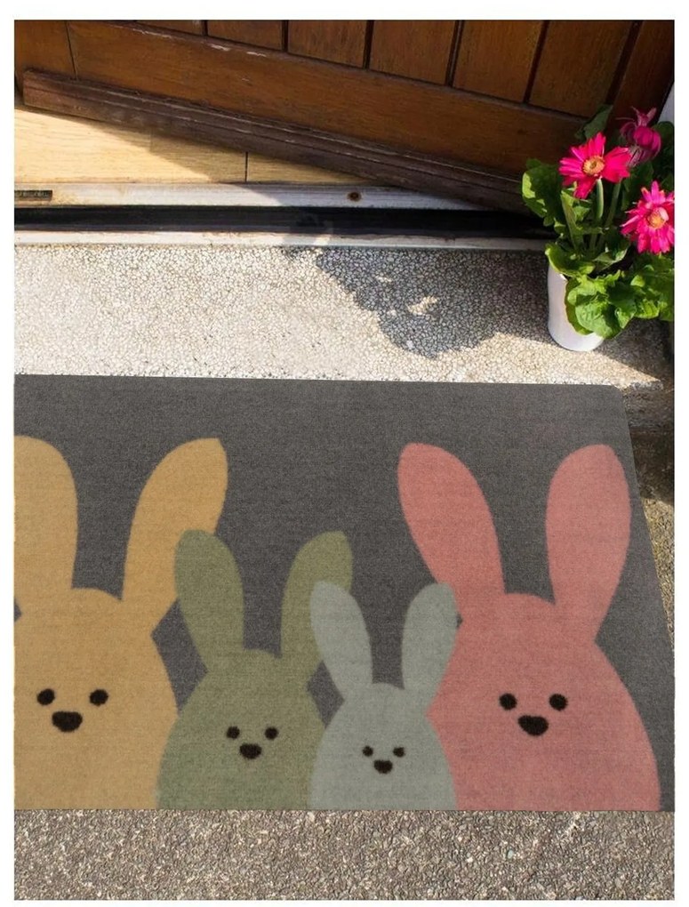 Hanse Home, Protišmyková rohožka Printy 104452 Grey, Multicolor, 40x60, viacfarebná, chodba / predsieň