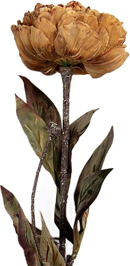 Žlto-hnedá umelá dekorácia sušená kvetina pivonka - 10*10*65 cm