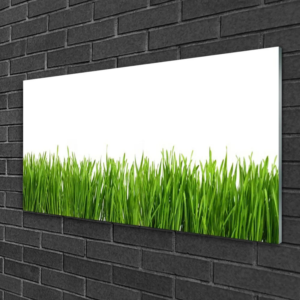 Obraz na skle Tráva príroda rastlina 140x70 cm