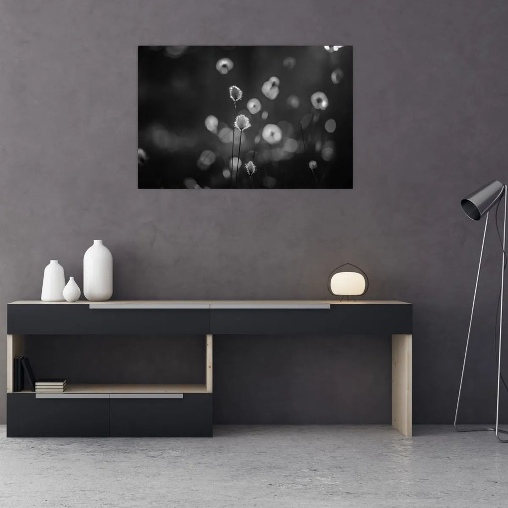 Obraz - Cottongrass na lúke (90x60 cm)