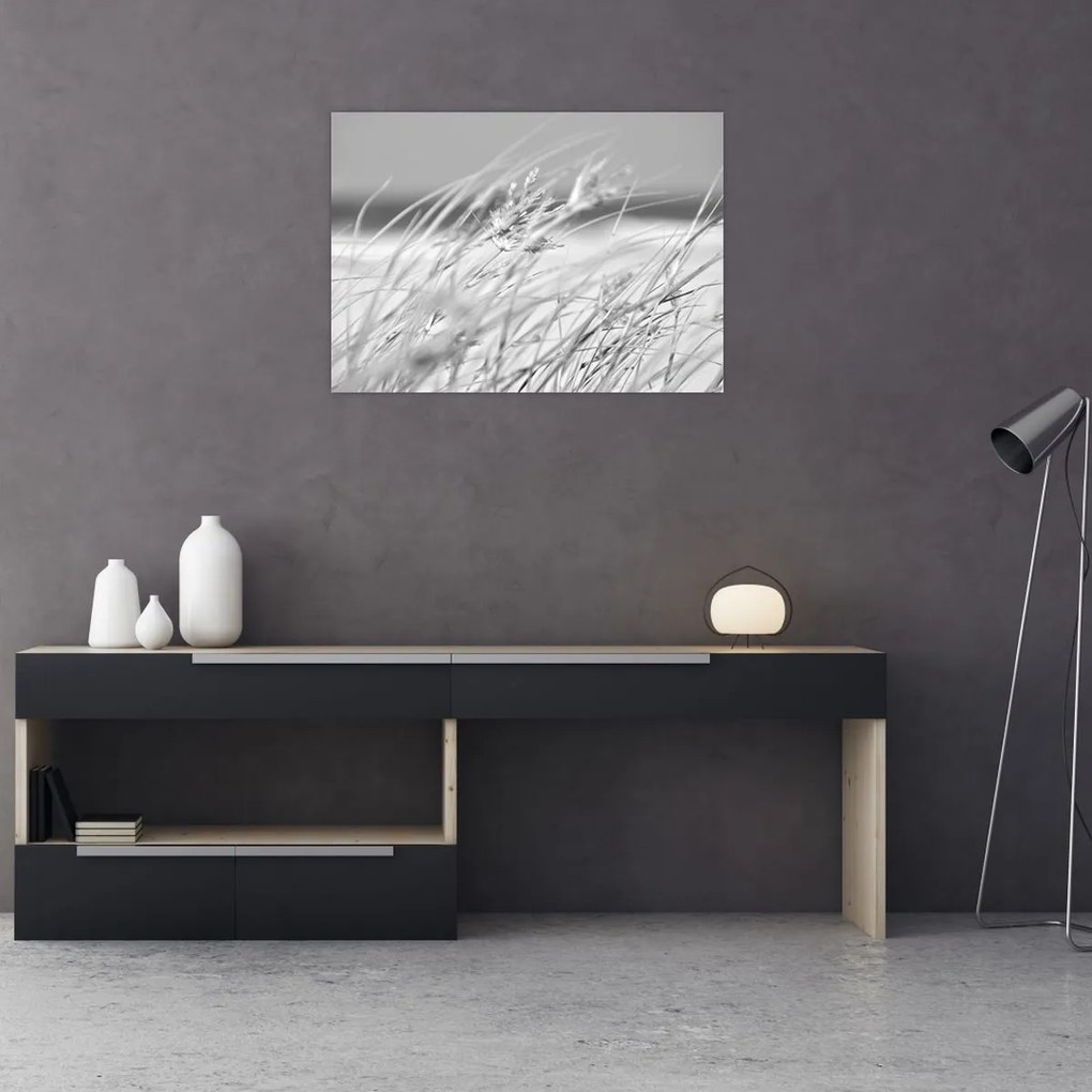 Sklenený obraz - Plážová tráva (70x50 cm)