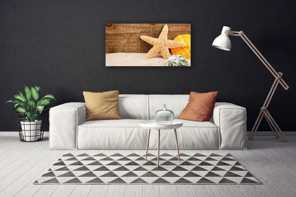 Obraz Canvas Piesok hviezdica umenie 120x60 cm