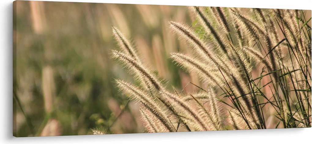 Obraz - Obilie (120x50 cm)