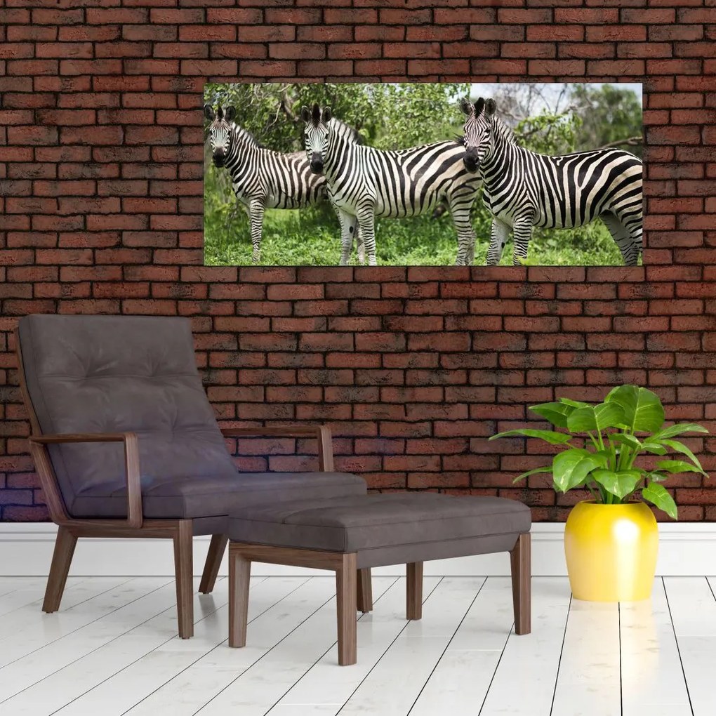 Obraz so zebrami (120x50 cm)