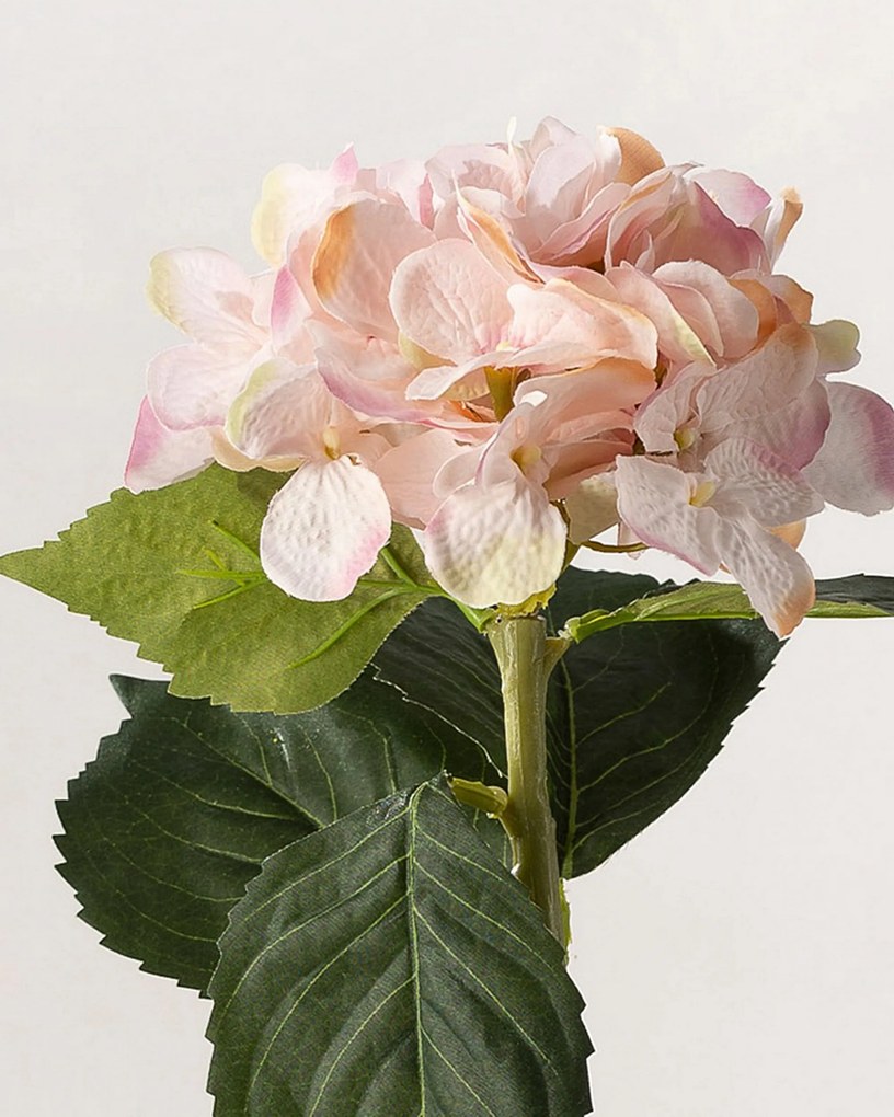 Vetvička hortenzie 50 cm