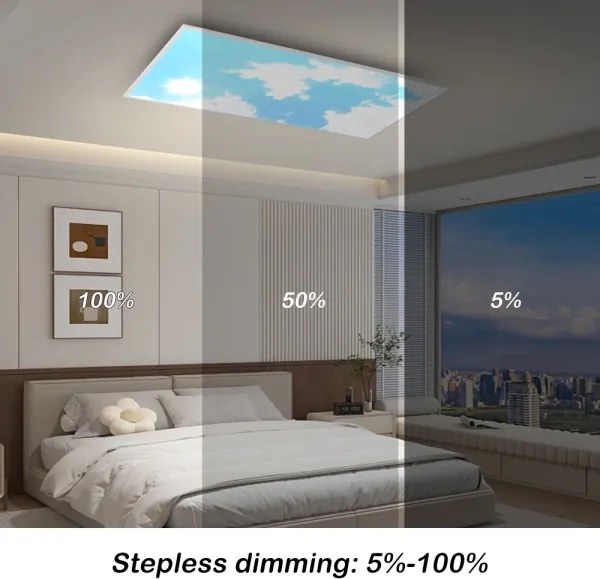 BRILAGI - LED stmievateľné stropné svietidlo SLIMFRAME SKY LED/80W/230V 120x60 cm + diaľkové ovládanie