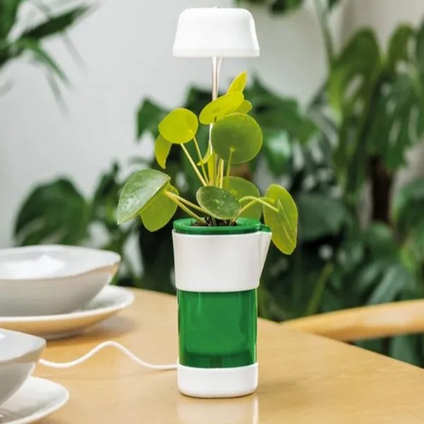 Kvetináč s UV Lampičkou a samozavlažovacím systémom