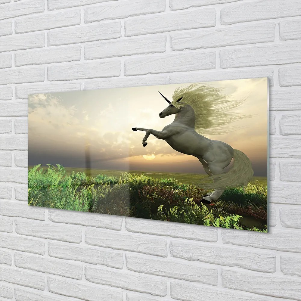 Obraz na akrylátovom skle Unicorn golf 125x50 cm