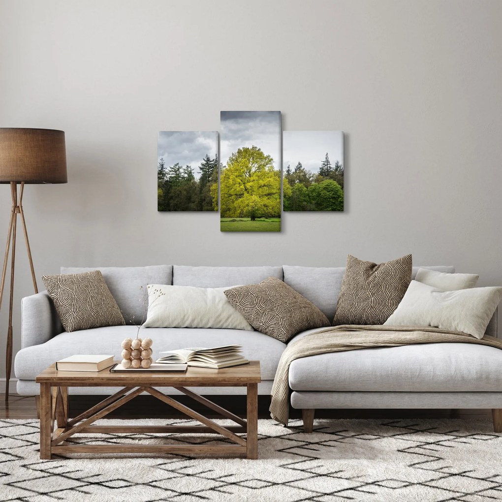 Obraz zeleného stromu uprostred poľa (90x60 cm)