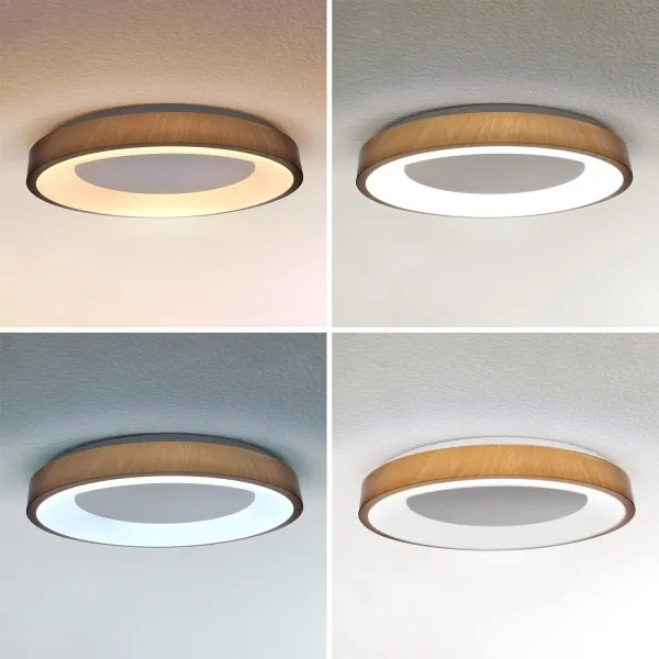 Brilagi - stmievateľné LED svietidlo DORIA LED/60W/230V 3000-6500K priemer 60 cm + diaľkové ovládanie