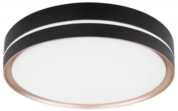 Globo 41759-24 - LED Stmievateľné stropné svietidlo MANNI LED/24W/230V + DO