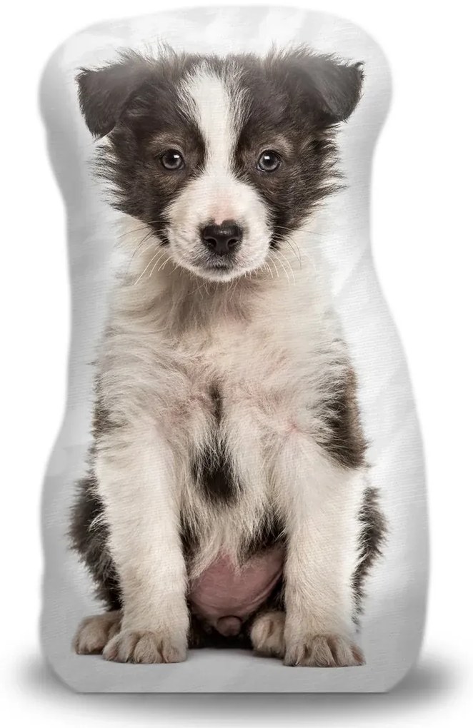 Sablio 3D vankúš Šteniatko border kólie